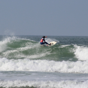 surf 7