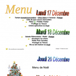 menu du 17 au 21 décembre copie